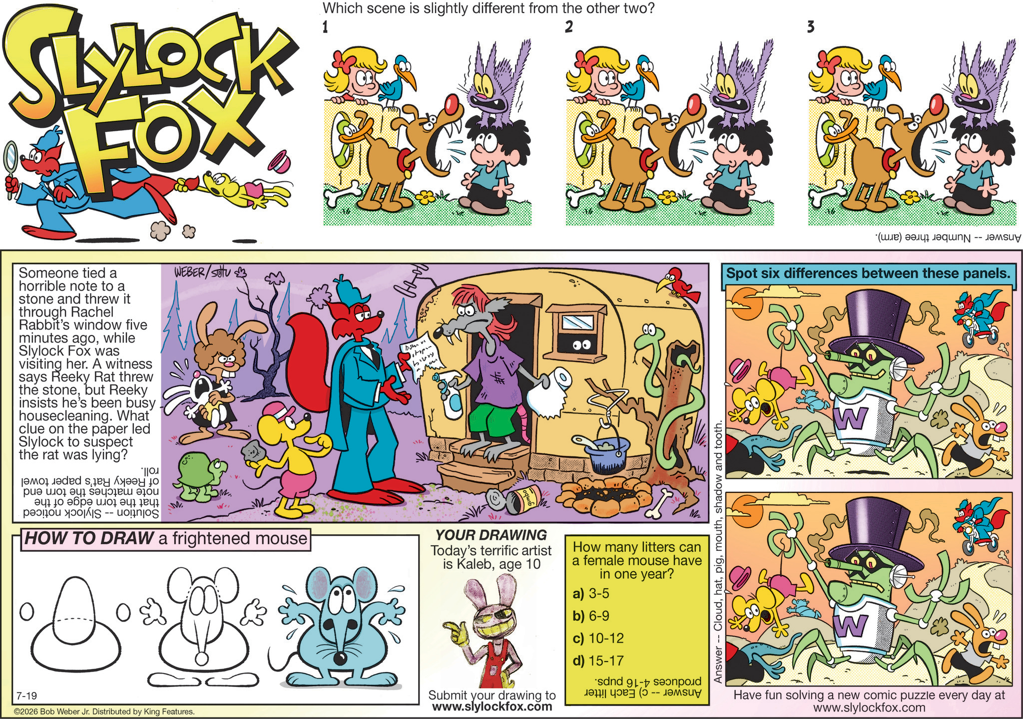 08/02/2026 Slylock Fox